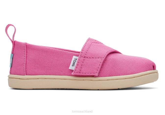 Kids Pink Canvas Toms Tiny Alpargata Shoes R26T515