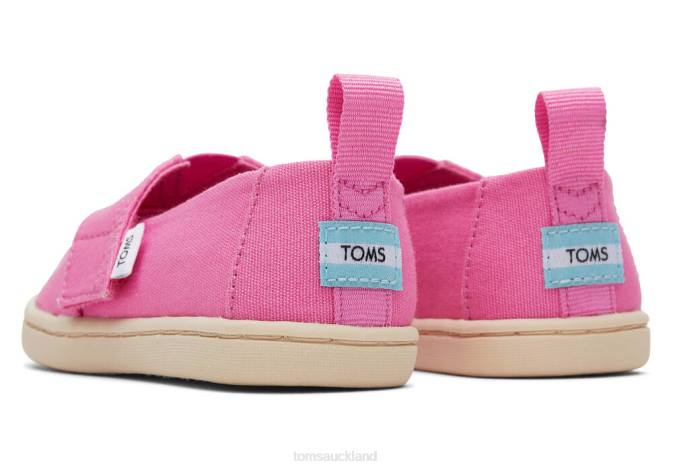 Kids Pink Canvas Toms Tiny Alpargata Shoes R26T515