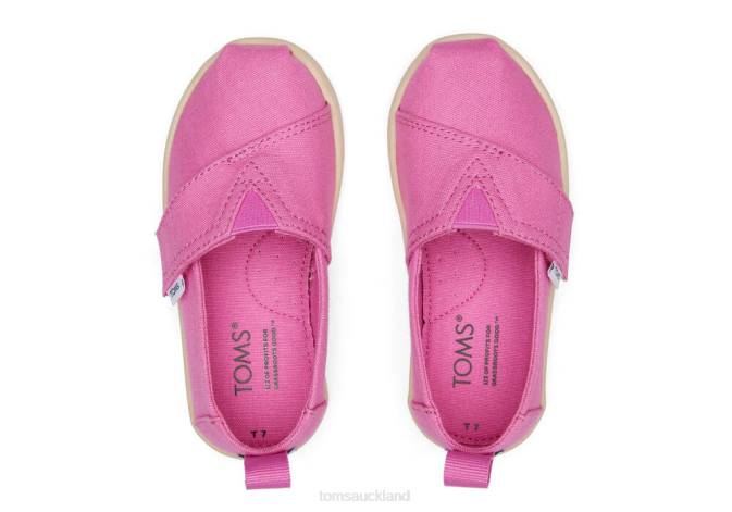 Kids Pink Canvas Toms Tiny Alpargata Shoes R26T515