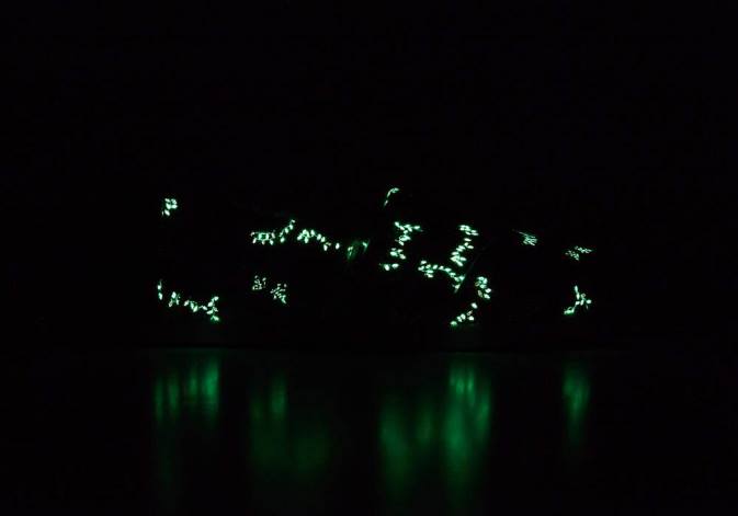 Women New Style Toms Sloths Alpargata Shoes R26T74